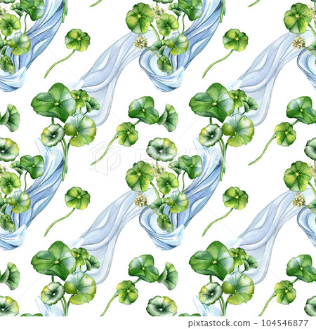 Centella asiatica herbal plants and wave watercolor seamless pattern isolated on white. Pennywort, gotu kola water shape, geranium flower hand drawn. Design for package, textile, wrapping, background Centella asiatica herbal plants and wave watercolor seamless pattern isolated on white. Pennywort, gotu kola water shape, geranium flower hand drawn. Design for package, textile, wrapping, background 104546877