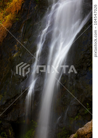 Close focus on smooth flowing water from high rock waterfall. Close focus on smooth flowing water from high rock waterfall. 104547026