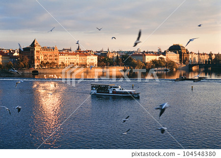 受到鳥兒歡迎的遊輪 104548380