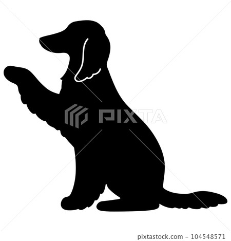 silhouette of afghan hound giving hands silhouette of afghan hound giving hands 104548571
