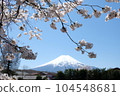 Fujisan and sakura blossom 104548681