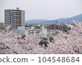 Chrry blossom at Aomoti castle 104548684