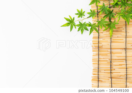 藍色秋葉和竹百葉窗白色背景背景素材（夏季圖像） 104549100