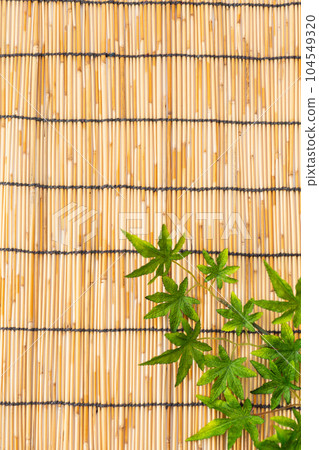 藍色秋葉和百葉窗的背景材料（夏季圖像） 104549320