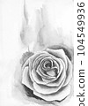 Rose watercolor black and white background 104549936