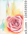 Rose watercolor background 104549939