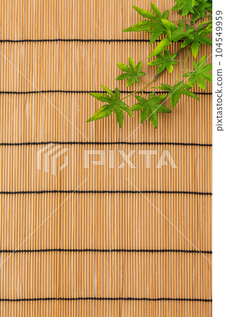 Background material of blue autumn leaves and blinds (summer image) 104549959