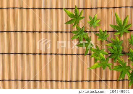 Background material of blue autumn leaves and blinds (summer image) 104549961