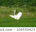 一隻鳥 104550423