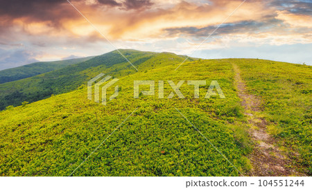 narrow lane through the hill. mountainous summer countryside scenery in evening light 104551244