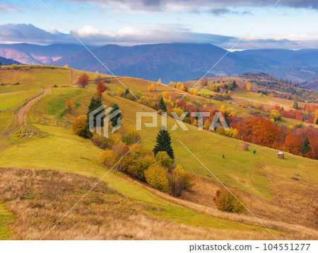 carpathian countryside at sunrise in autumn. rural fields and forested hill in morning light. distant ridge beneath s sky with clouds 104551277