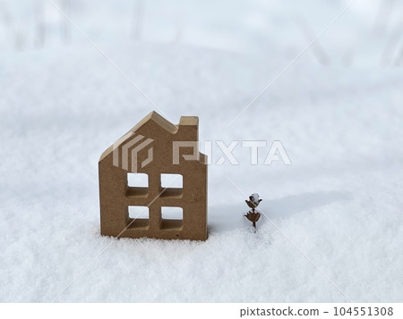 1 house accessory on the snow 104551308