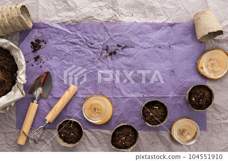 Planting seedlings of tomato Planting seedlings of tomato 104551910
