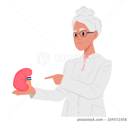 Nephrologist elderly family doctor, kidneys issues. World Day of Organ Donation and Transplantation.World Kidney Day. Concept of treatment of kidney diseases, kidney transplantation or organ donation. 104551956