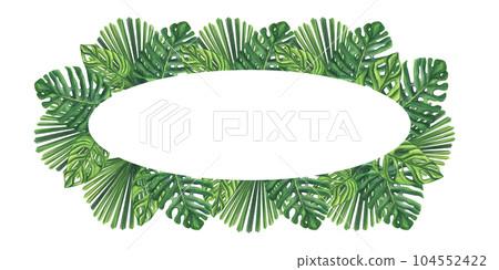 Banner oval frame green palm leaves. Monstera Likuala. Jungle tropical exotic foliage. Hand-drawn watercolor illustration isolated on white background. For design logo card poster label invitations Banner oval frame green palm leaves. Monstera Likuala. Jungle tropical exotic foliage. Hand-drawn watercolor illustration isolated on white background. For design logo card poster label invitations 104552422