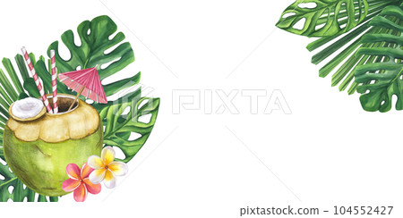 Banner cocktail green coconut straw umbrella beach drink. Monstera leaves, frangipani flowers. Hand drawn watercolor illustration isolated on white background. For bar restaurant menu logo Banner cocktail green coconut straw umbrella beach drink. Monstera leaves, frangipani flowers. Hand drawn watercolor illustration isolated on white background. For bar restaurant menu logo 104552427