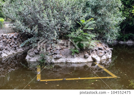 Terrapin Pond in National Garden of Athens, Greece 104552475