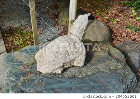鎌倉神社龜若丸(神奈川縣鎌倉市) 鎌倉神社龜若丸(神奈川縣鎌倉市) 104552601