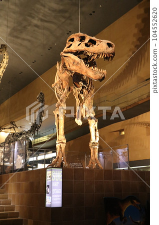 Cool Dinosaurs and Extinct Animal Skeletal Specimens and Fossils Exhibition, Kitakyushu, Fukuoka Prefecture, Inochi no Tabi Museum Cool Dinosaurs and Extinct Animal Skeletal Specimens and Fossils Exhibition, Kitakyushu, Fukuoka Prefecture, Inochi no Tabi Museum 104552620