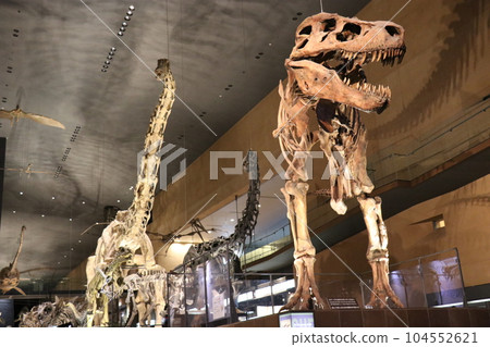 Cool Dinosaurs and Extinct Animal Skeletal Specimens and Fossils Exhibition, Kitakyushu, Fukuoka Prefecture, Inochi no Tabi Museum Cool Dinosaurs and Extinct Animal Skeletal Specimens and Fossils Exhibition, Kitakyushu, Fukuoka Prefecture, Inochi no Tabi Museum 104552621