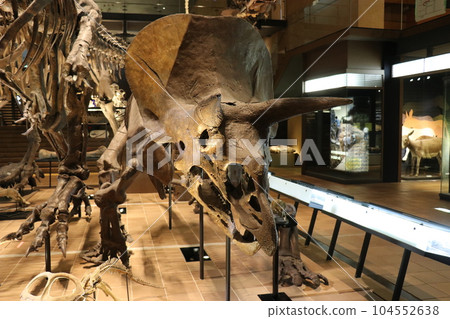 酷恐龍和滅絕動物骨骼標本和化石展，福岡縣北九州，豬內足袋博物館 104552638