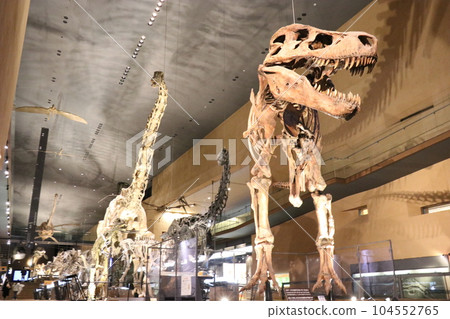 Cool Dinosaurs and Extinct Animal Skeletal Specimens and Fossils Exhibition, Kitakyushu, Fukuoka Prefecture, Inochi no Tabi Museum Cool Dinosaurs and Extinct Animal Skeletal Specimens and Fossils Exhibition, Kitakyushu, Fukuoka Prefecture, Inochi no Tabi Museum 104552765