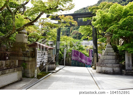 奈良縣信貴山朝禦尊四寺正殿前的參道、鳥居和新鮮的綠色植物 奈良縣信貴山朝禦尊四寺正殿前的參道、鳥居和新鮮的綠色植物 104552891