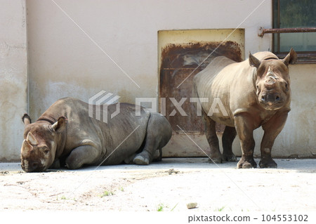 Asa Zoological Park, Hiroshima, parent and child Asa Zoological Park, Hiroshima, parent and child 104553102