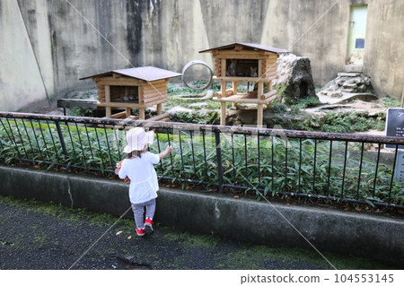 Asa Zoological Park, Hiroshima, parent and child Asa Zoological Park, Hiroshima, parent and child 104553145
