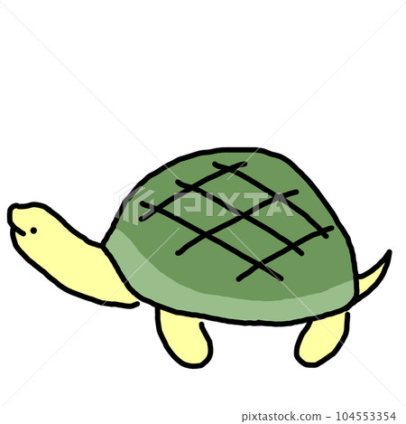 turtle  104553354