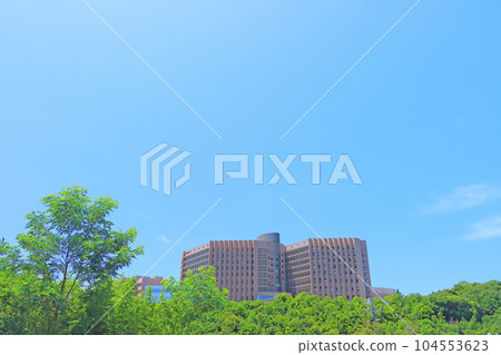 岡崎市岡崎市立醫院風景 104553623