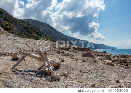 Dry tree branches on beach Lefkada island, Greece Dry tree branches on beach Lefkada island, Greece 104553660