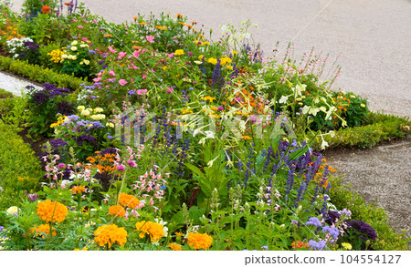 A vibrant flower bed and walkway. A vibrant flower bed and walkway. 104554127