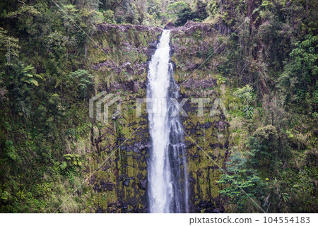 Akaka Falls on the Big Island of Hawaii 104554183