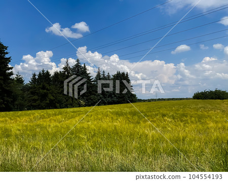 德國弗里德里希斯多夫郊區的景色 德國弗里德里希斯多夫郊區的景色 104554193