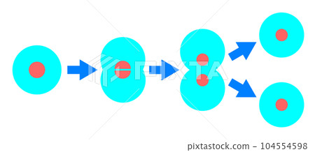 細胞分裂和繁殖的插圖 細胞分裂和繁殖的插圖 104554598