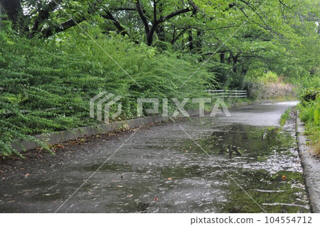 A rainy promenade A rainy promenade 104554712