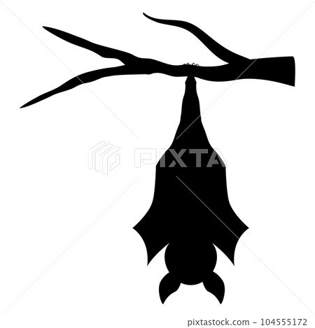 蝙蝠掛在樹枝上 104555172