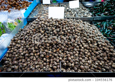 Fresh cockle in the market 104556176