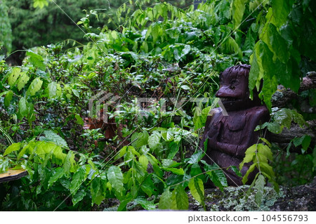 wooden kappa in the rain 104556793