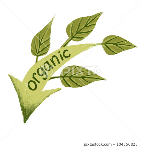 Hand drawn illustration of organic green label sticker with green leaves. Nature ecological environmental sign element, lime leaf branch, hand lettering words, farm market food. 104556823