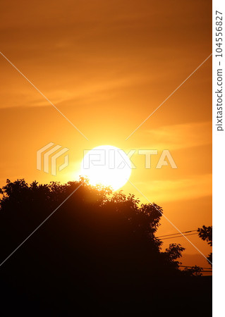 傍晚 傍晚 104556827