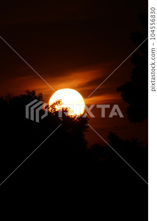 A sunset silhouette A sunset silhouette 104556830