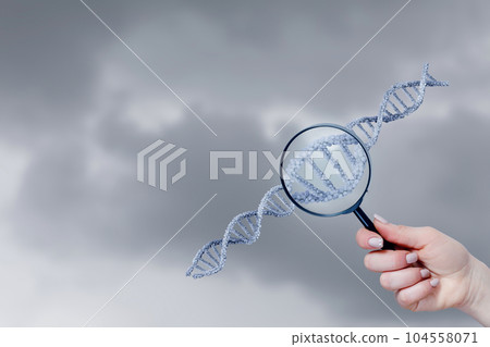 DNA molecules research concept. DNA molecules research concept. 104558071