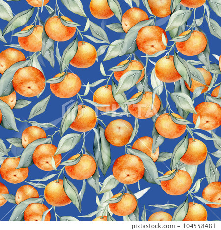 Seamless watercolour citrus fruits and leaves pattern. Green leaves and orange fruits on white background. Seamless mandarin and oranges watercolour illustration 104558481