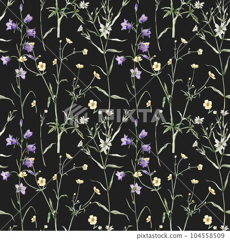 Watercolor floral seamless pattern in vintage rustic style, colored garden, hand painting print with meadow flowers, leaves and plants, design texture. Bluebell, buttercup, stellaria holostea. Watercolor floral seamless pattern in vintage rustic style, colored garden, hand painting print with meadow flowers, leaves and plants, design texture. Bluebell, buttercup, stellaria holostea. 104558509