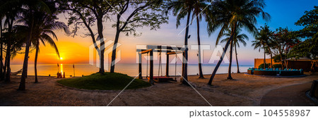 Beachfront sunrise with pool and palm trees in Hua Hin, Prachuap Khiri Khan, Thailand Beachfront sunrise with pool and palm trees in Hua Hin, Prachuap Khiri Khan, Thailand 104558987