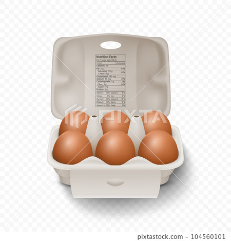6 Six Vector 3d Realistic Brown Chicken Eggs in Opened Carton Paper Box, Container, Packaging. Chicken Egg Set, Isolated. Vector Raw Whole Eggs. Egg Pack in Front View 104560101