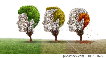 Aging Hair Loss 104561672