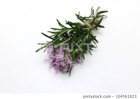 Rosemary with flowers on white background 104561823